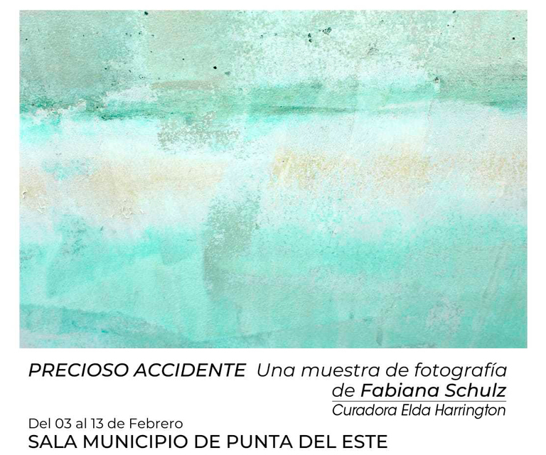 "Precioso Accidente" de Fabiana Schulz