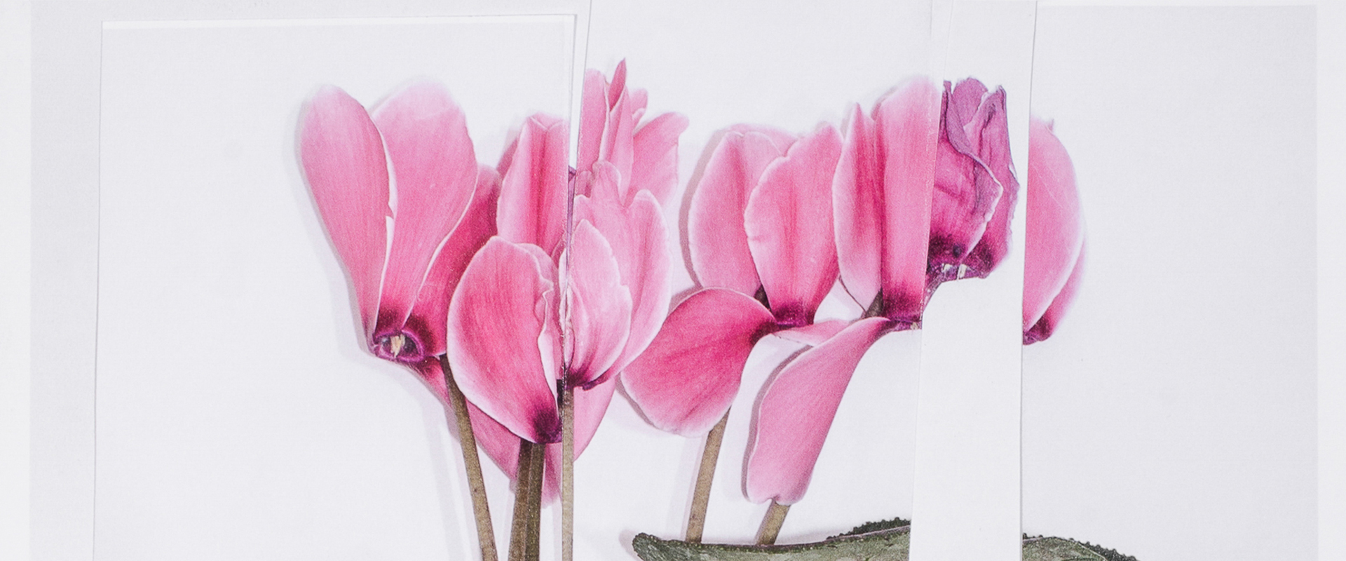 "La naturaleza de las cosas"