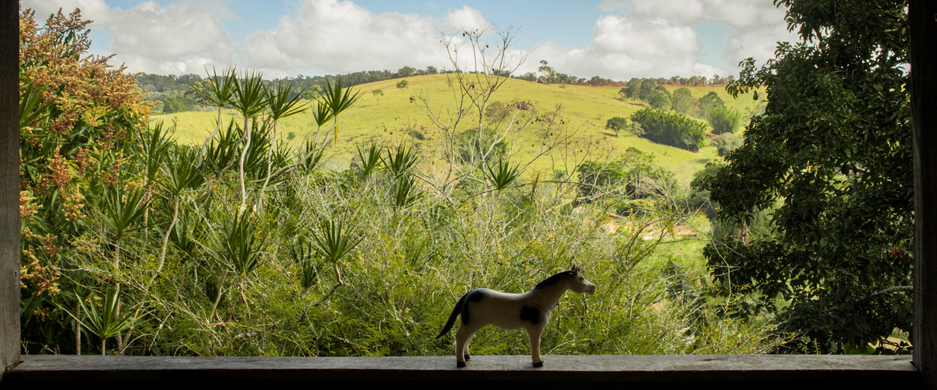 Exposici&oacute;n de Ilana Bar