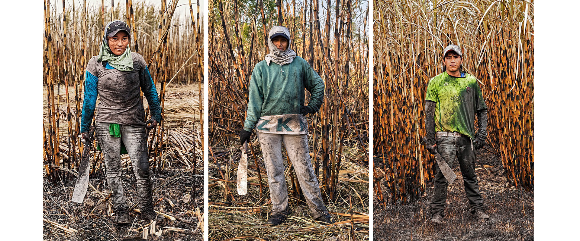 Muestra "Zafreros" de C&eacute;sar Ruiz