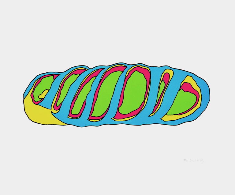 Encuentro con Doroth&eacute;e Selz