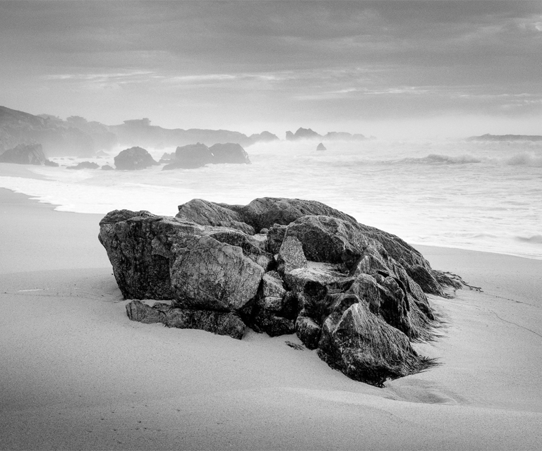 Exposici&oacute;n "&aelig;vum"