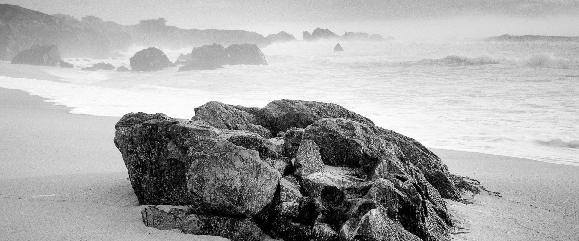 Exposici&oacute;n "&aelig;vum"