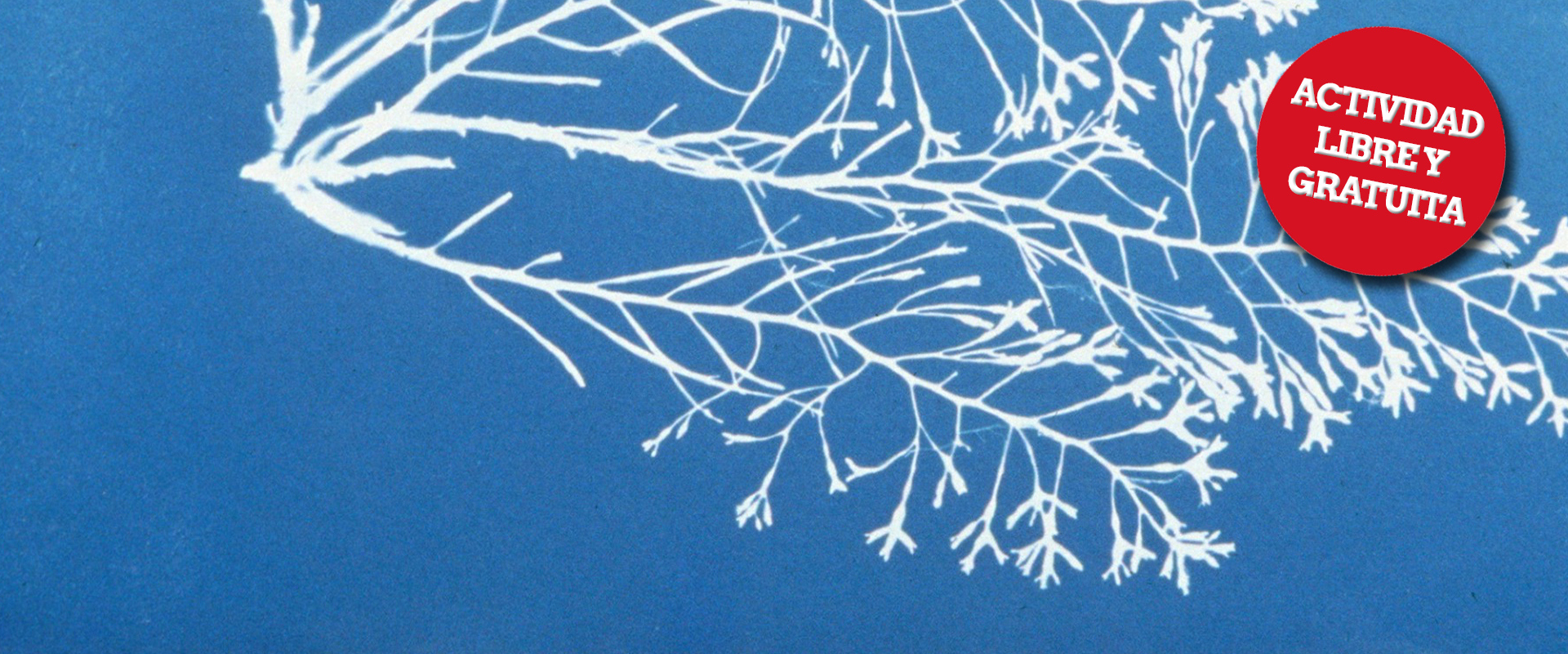 JORNADA DE FOTOGRAF&Iacute;A ANAL&Oacute;GICA