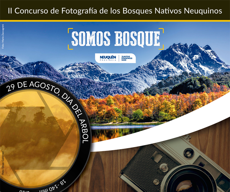 Concurso de Fotograf&iacute;a