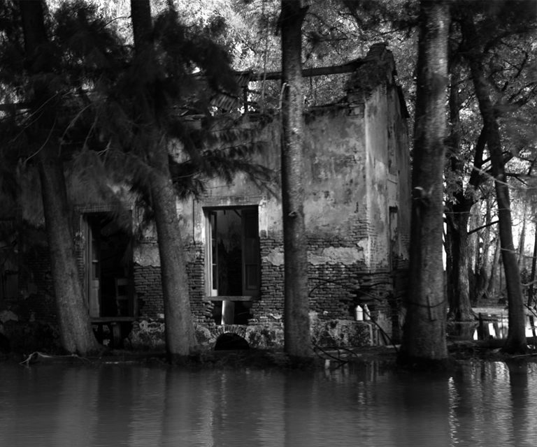 Inauguraci&oacute;n exposici&oacute;n "El Delta Interior"