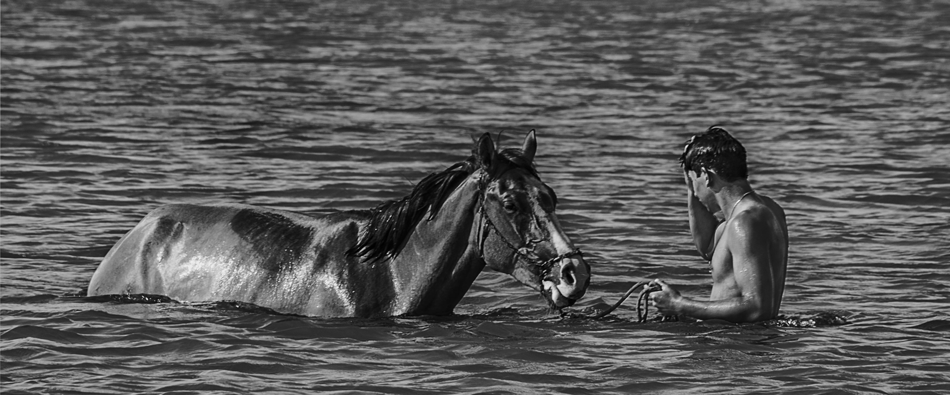 Exposici&oacute;n Digital 2