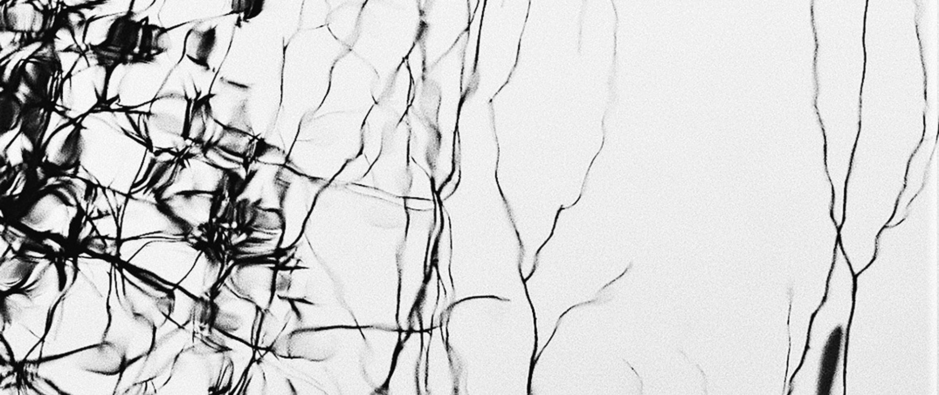 INAUGURACI&Oacute;N: PINCELADAS