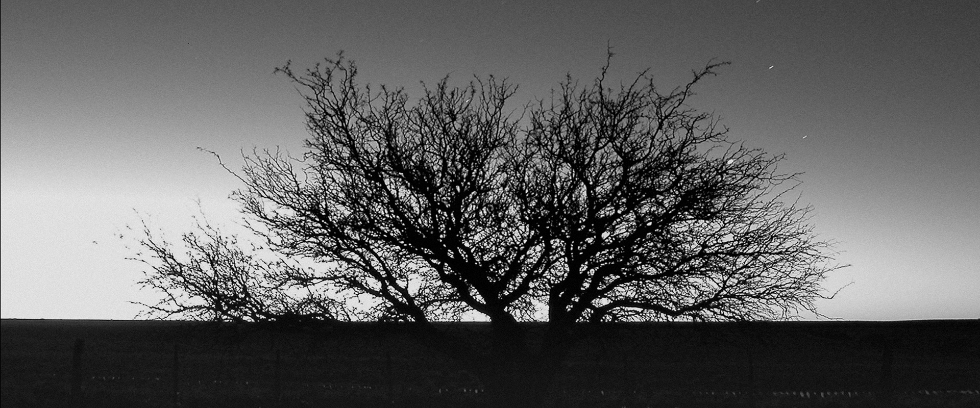 Homenaje Sergio Tantanian