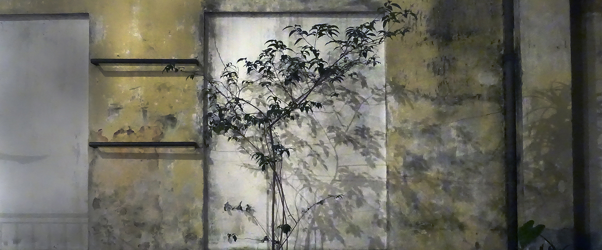 La noche, un invento del hombre