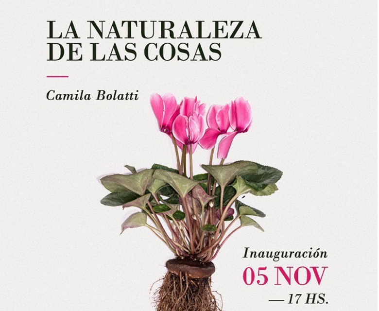 "La naturaleza de las cosas"