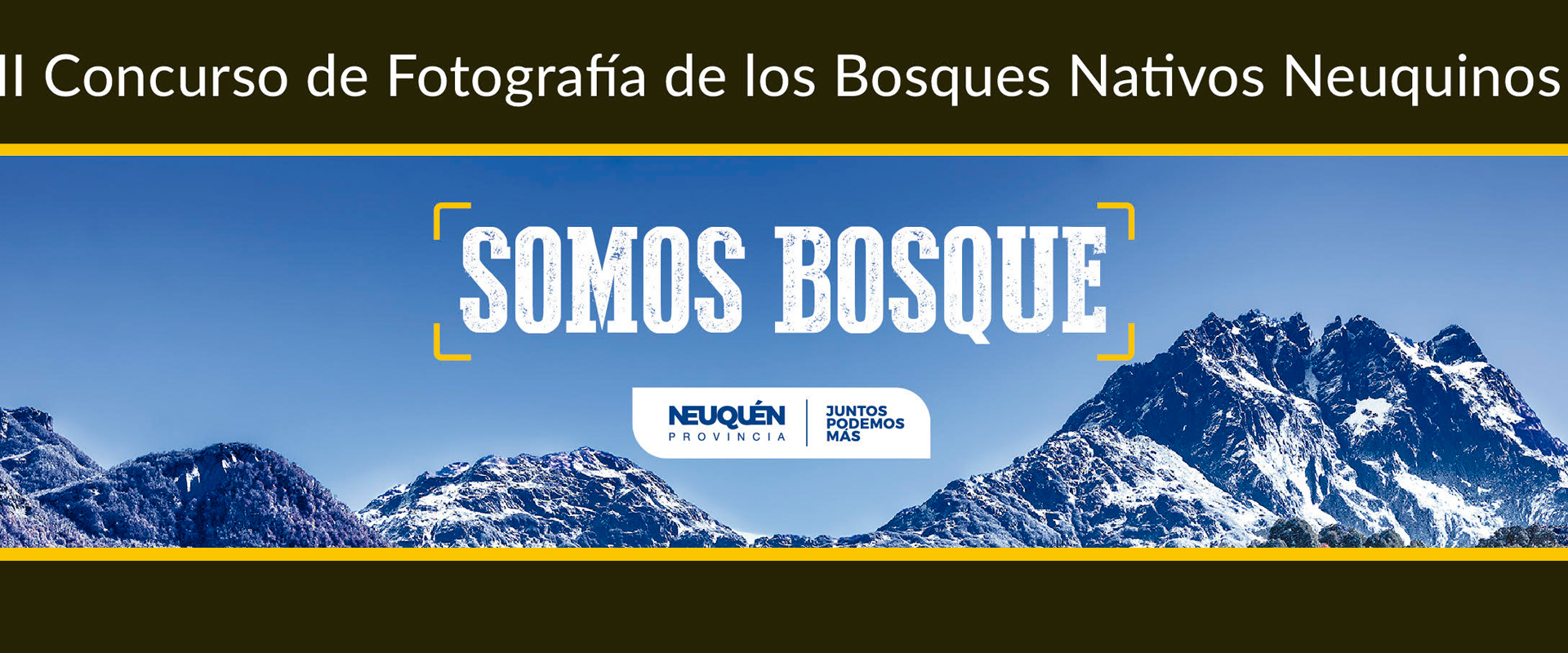 Concurso de Fotograf&iacute;a