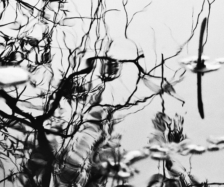 INAUGURACI&Oacute;N: PINCELADAS