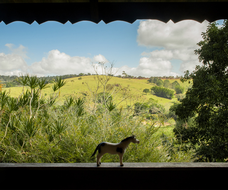 "Transparencias del Hogar" de Ilana Bar