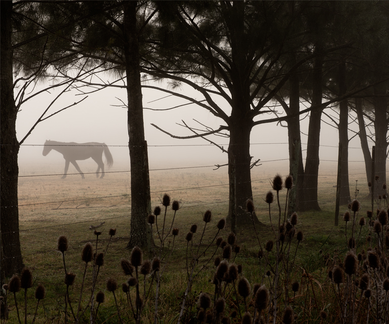 CONVOCATORIA A EXPONER 2025