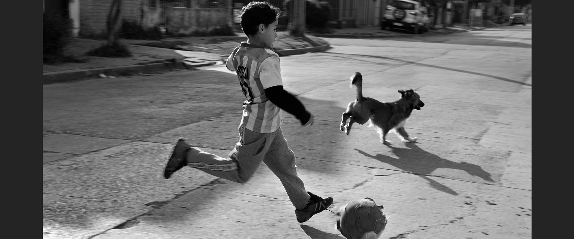 Muestra Fin de A&ntilde;o