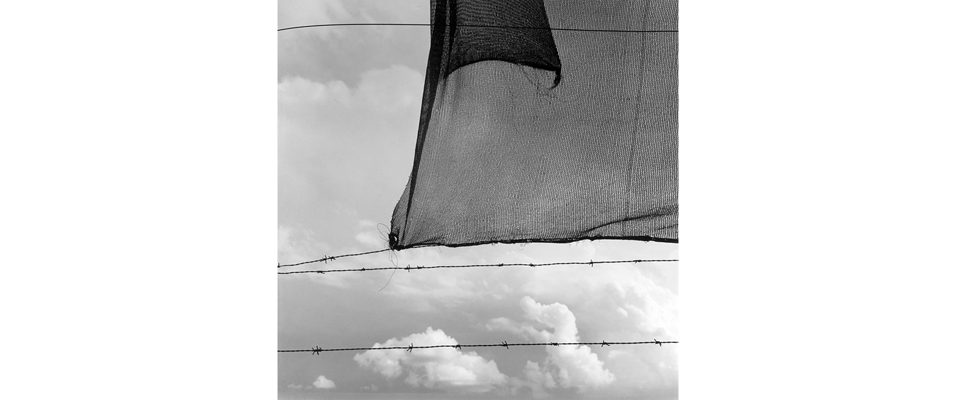 "La magia de lo real"