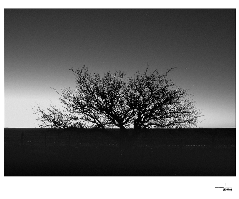 Homenaje Sergio Tantanian