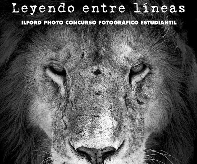 Concursos fotogr&aacute;fico estudiantil