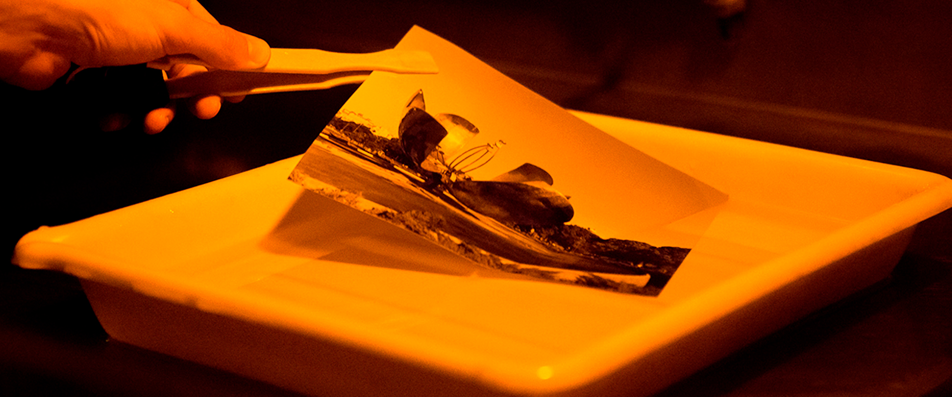 Revelado anal&oacute;gico Blanco y Negro